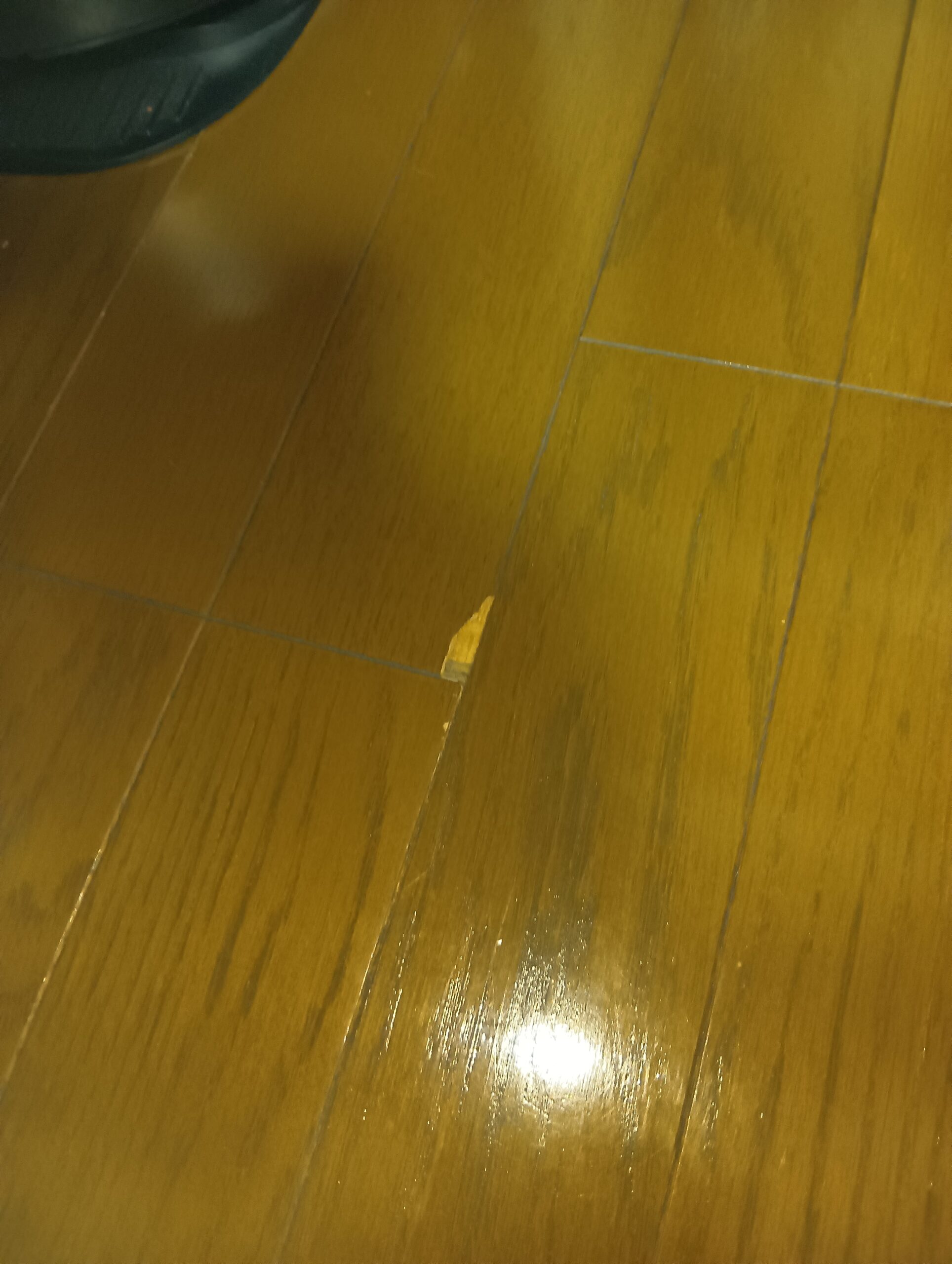 マンションの内装リフォームで気になる「小さな傷」…実は簡単に直せるんです！【名古屋市の事例紹介】